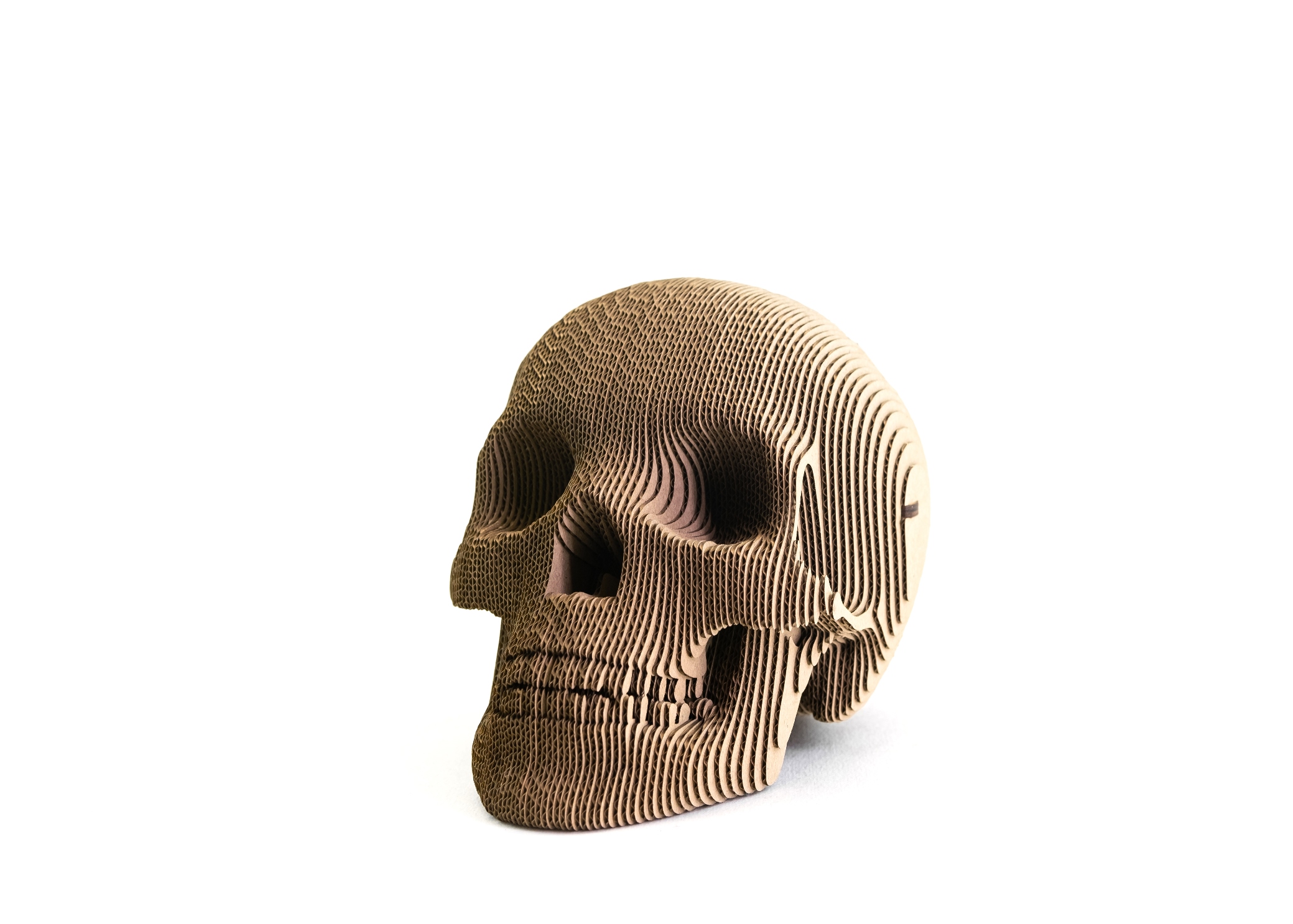 3D Пазл 5Cult Череп Роджер
